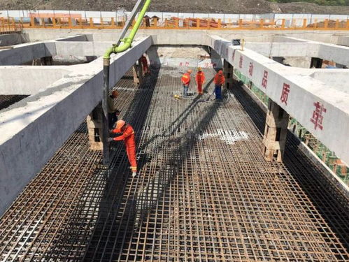 好消息一個(gè)接一個(gè),和每個(gè)普陀人有關(guān)