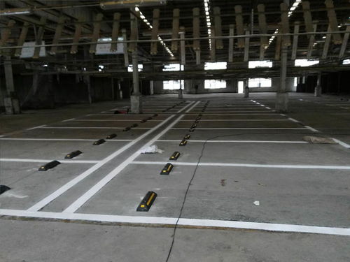 東莞市鳳崗綠道劃線工程隊 本地實力公司